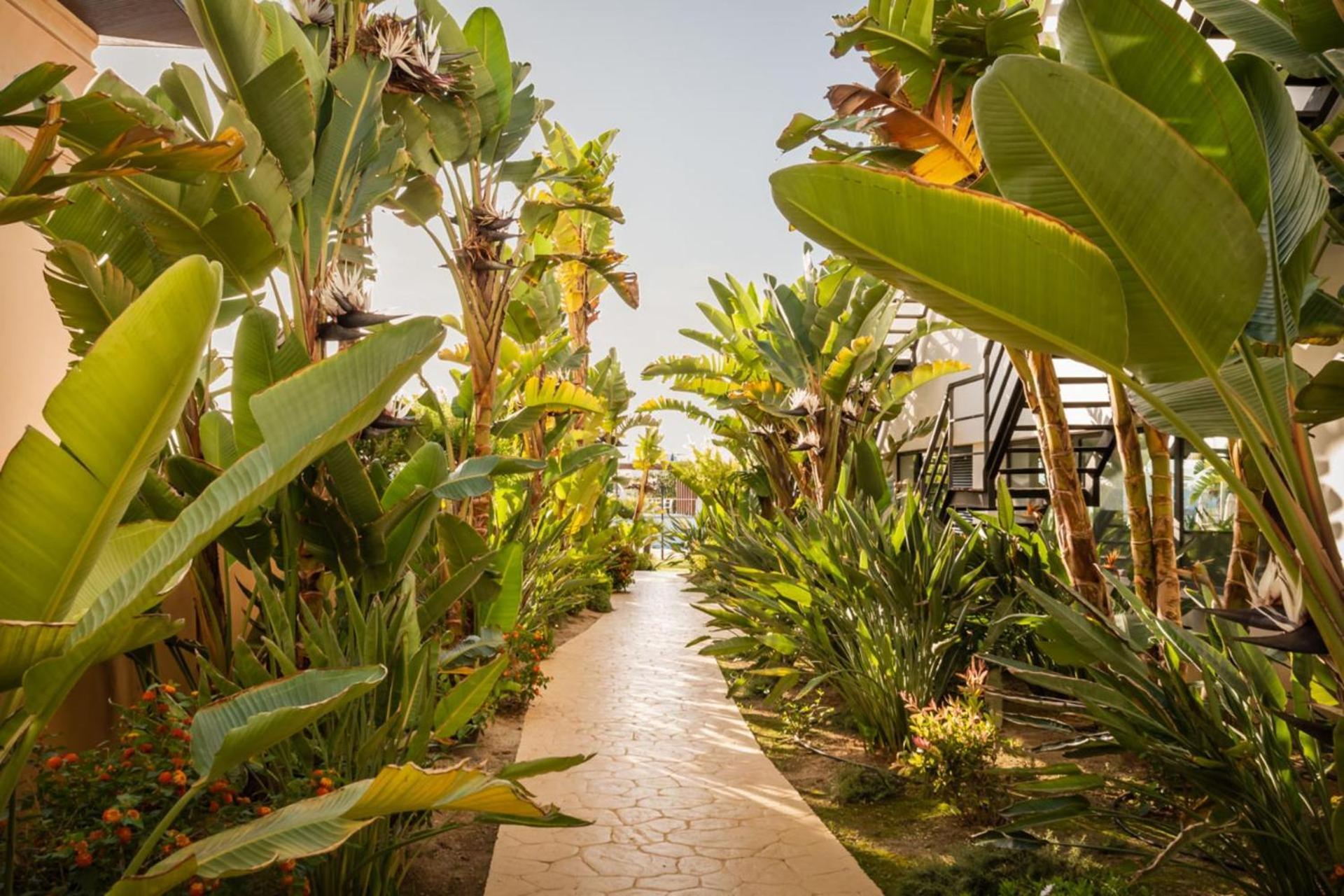 Alegria Palacio Mojacar - Adults Only Εξωτερικό φωτογραφία